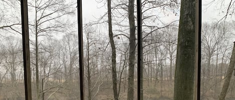 View of the river from the screened in porch 