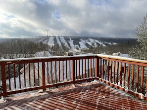 Your winter view from the 3rd Story Deck!