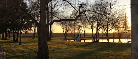 Overnatningsstedets område