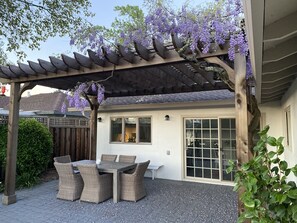 The glorious wisteria blooms in March