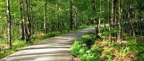 Overnatningsstedets område