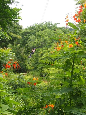 Parco della struttura
