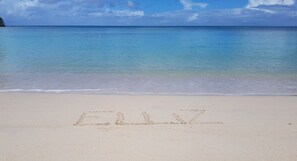 Elliz