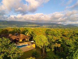 Lush, vibrant vegetation that adds a natural beauty and tranquility to the space.