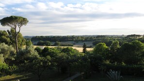 Ulkoalueet