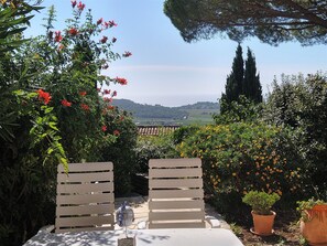 Vue mer et vigne jardin fleuri