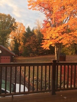 Beautiful Fall Color
