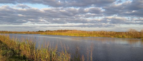 Emeralda Marsh (Great fishing, boating, Animal/Bird Watching) 15 Min away