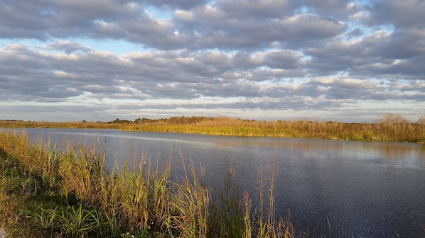 Emeralda Marsh (Great fishing, boating, Animal/Bird Watching) 15 Min away