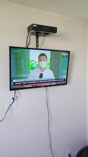 Television