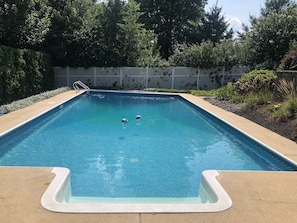 Cool off with a dip in the saltwater pool. 