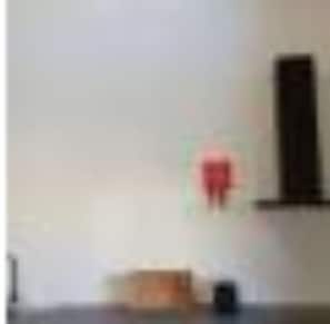 Fernseher