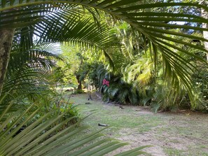 Terrain de l’hébergement 