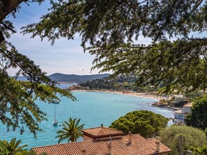 Water, Sky, Plant Community, Cloud, Nature, Azure, Natural Landscape, Tree, Lake, Coastal And Oceanic Landforms