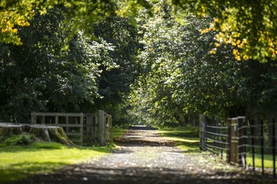 Sycamore Cottage - a traditional 2 bedroom stone cottage within the grounds of Arniston House