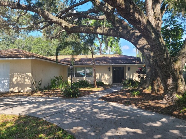 front of the house
