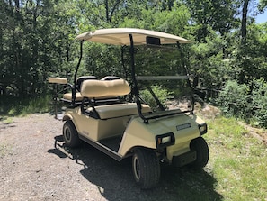 Weekly Golf Cart Rental $225/week. Gas included.   