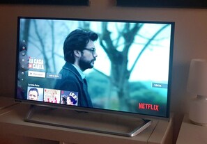 Television