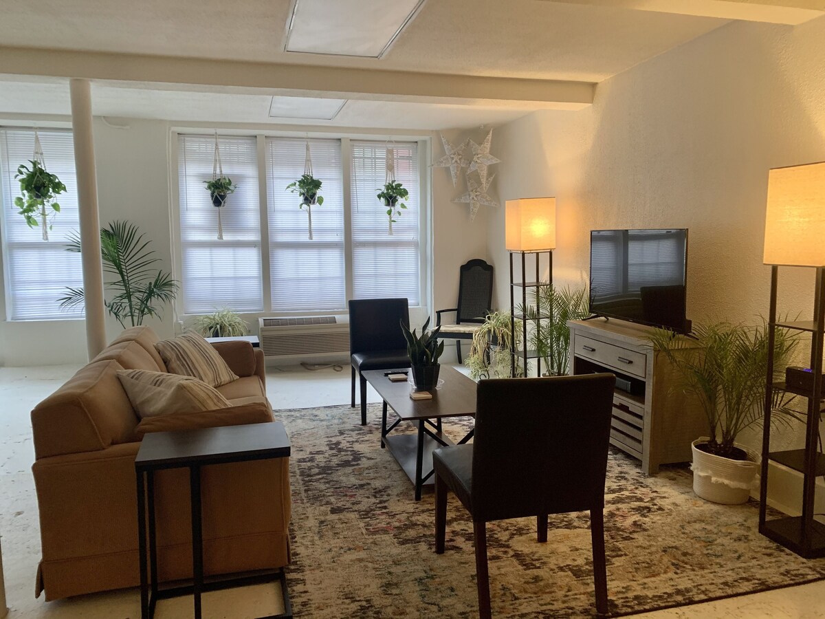 Trendy & Spacious Apartment on Chicken Alley, in the heart of Downtown Asheville