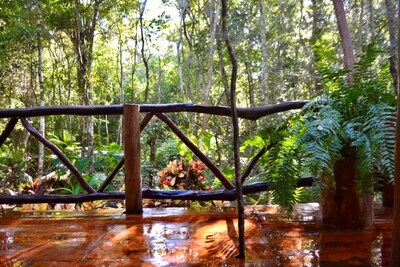 San Carlos Eco Lodge - Casa Fernanda