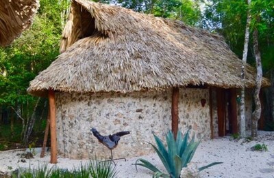 San Carlos Eco Lodge - Casa Fernanda