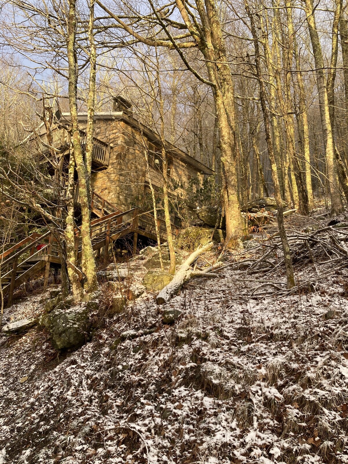 Main Image