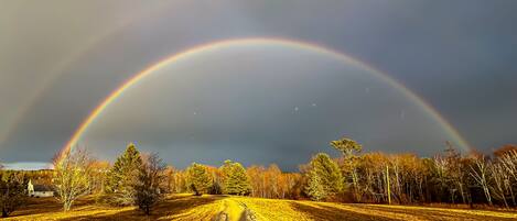 The entrance to our private road just after a rain shower. House is on left