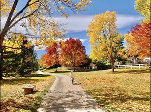 Autumn beauty in the Mariana Glen Greenway behind house