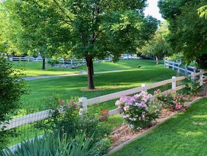 Peaceful greenway with paved pathways, mature trees & open space behind house