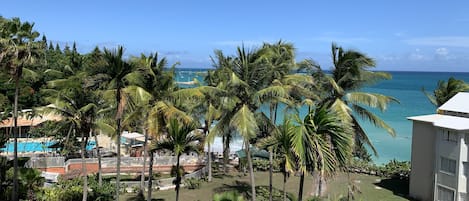 La vue mer et jardin tropical depuis l'appartement