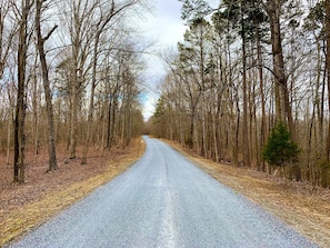 Cedar Key Village is located at the end of a long road through unspoiled forest