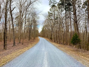 Cedar Key Village is located at the end of a long road through unspoiled forest