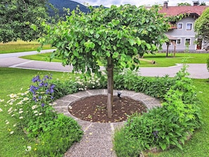 Jardin, Printemps, Suppression Des Plantes Ligneuses, Ombre, Pelouse, Cour, Aménagement Paysager, Sol, Arrière-Cour