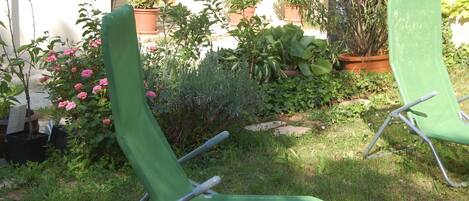 Plant, Property, Window, Outdoor Furniture, Grass, Flower, Terrestrial Plant, Chair, Armrest, Shrub