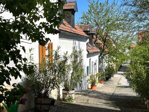 Pflanze, Gebäude, Himmel, Fenster, Blatt, Haus, Strassenbelag, Baum, Biome, Hütte