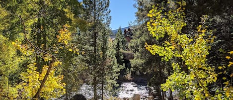 A creek runs by it...(pic taken from Master Bedroom)