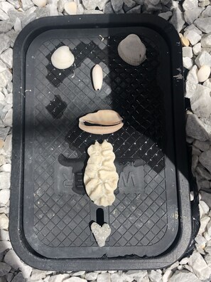 Övrigt