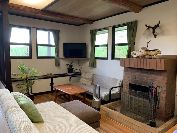 Living room / 2 sofa beds