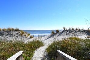 Natural Area at Beach