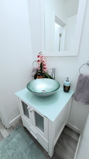 Powder room/guest bathroom 