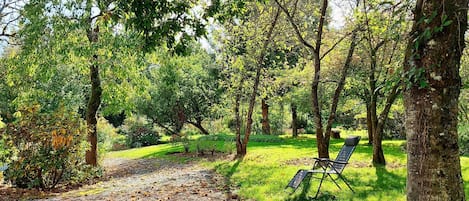 Un parc arboré magnifique en toute saison, et du mobilier de jardin pour en profiter