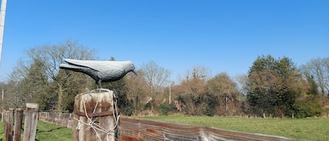 Location de vacances avec Gîtes de France Mayenne - H53G014249 gîte Les Galinettes à Neuilly-le-Vendin jusqu’à 4 personnes. Maison de campagne proche de Bagnoles de l'Orne, au milieu d’un parc naturel.