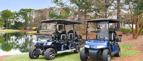 Golf Carts- 4-seat & 6-seat