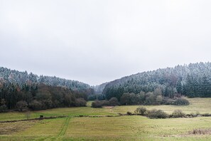 Blick ins Grüne.