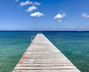 Private Pier perfect for dive boat, snorkel boat or fishing boat pickup