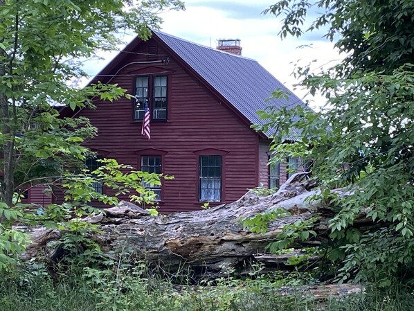 Exteriör