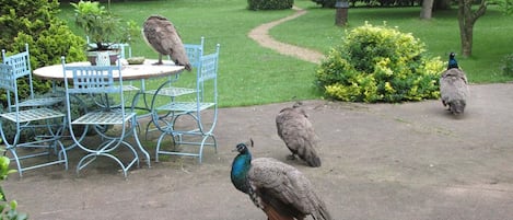 Repas à l’extérieur