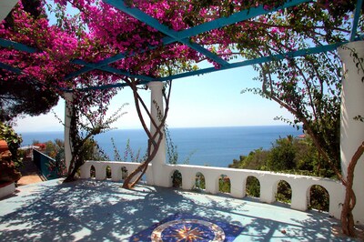 Picture of villa