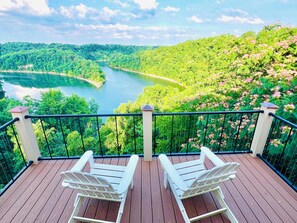 Lake Cumberland views 📸July 2024. Flowering mimosa tree attracts humming birds.