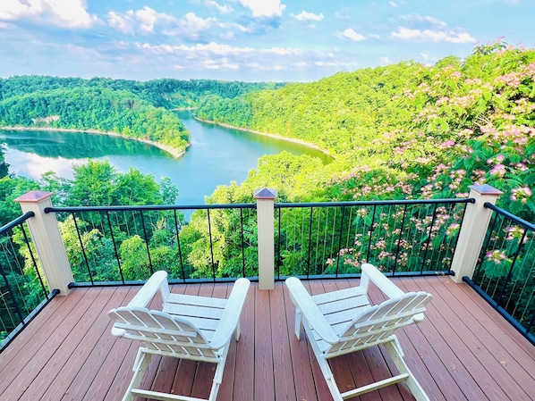 Lake Cumberland views 📸July 2024. Flowering mimosa tree attracts humming birds.